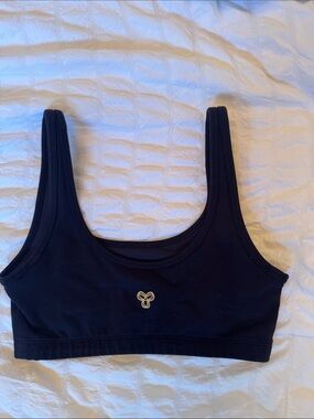 Aritzia sports bra